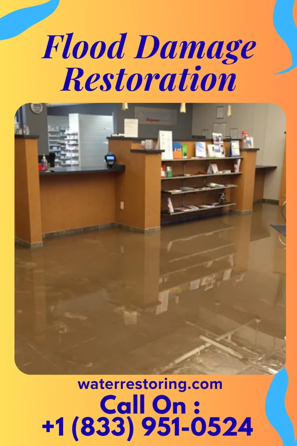 Flood Damage Restoration in Hopewell, VA