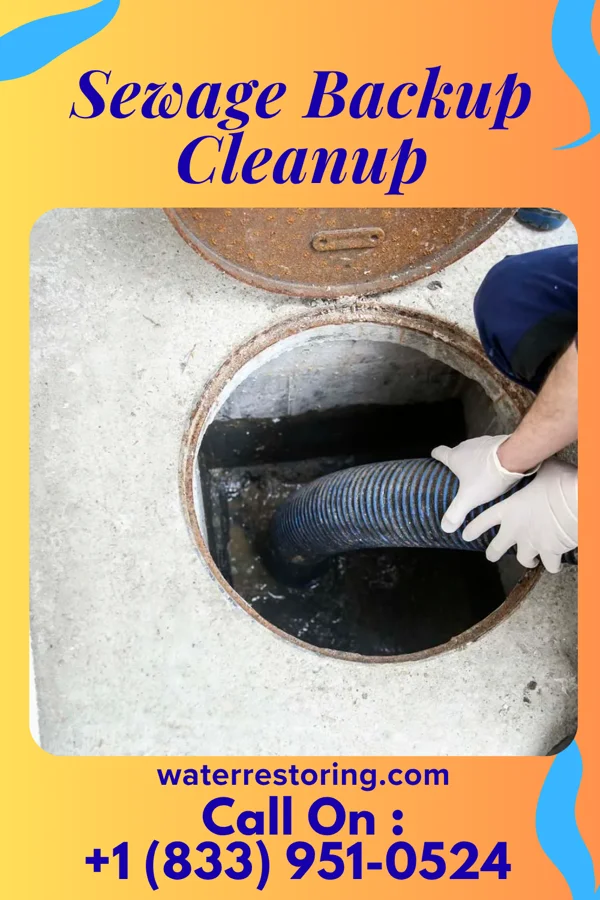 Sewage Backup Cleanup in Hopewell, VA