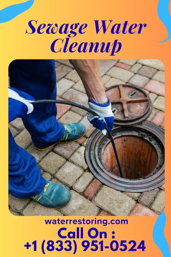 Sewage Water Cleanup in Hopewell, VA
