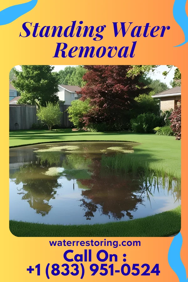 Standing Water Removal in Hopewell, VA
